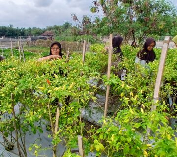 20250119 162354 360x320